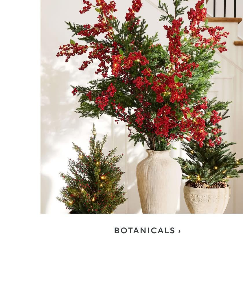 Botanicals