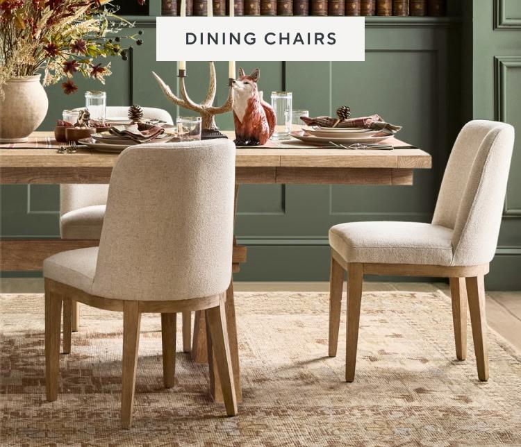 Shop Dining Chairs.