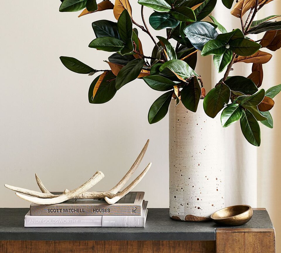 Antler Decorative Object