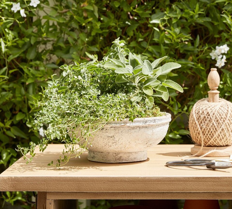 Artisan Handpainted Terracotta Planters