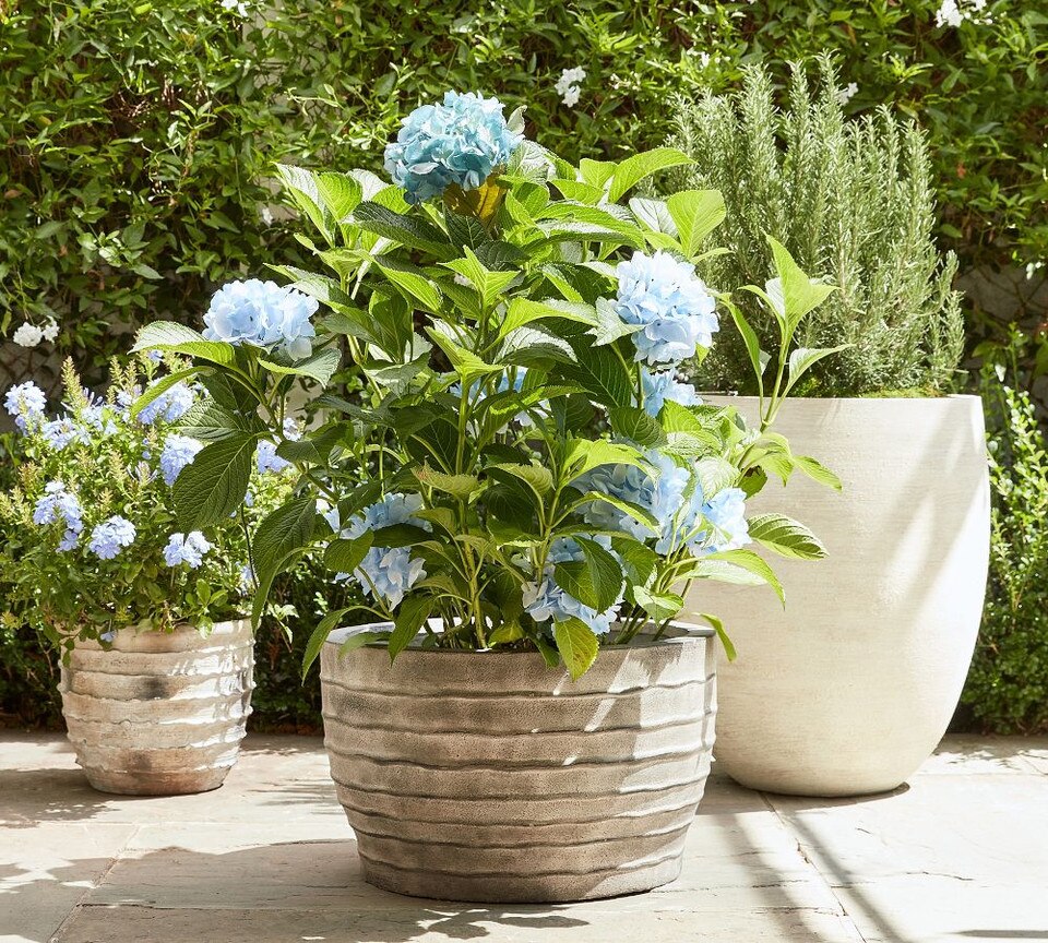 Artisan Handpainted Terracotta Planters