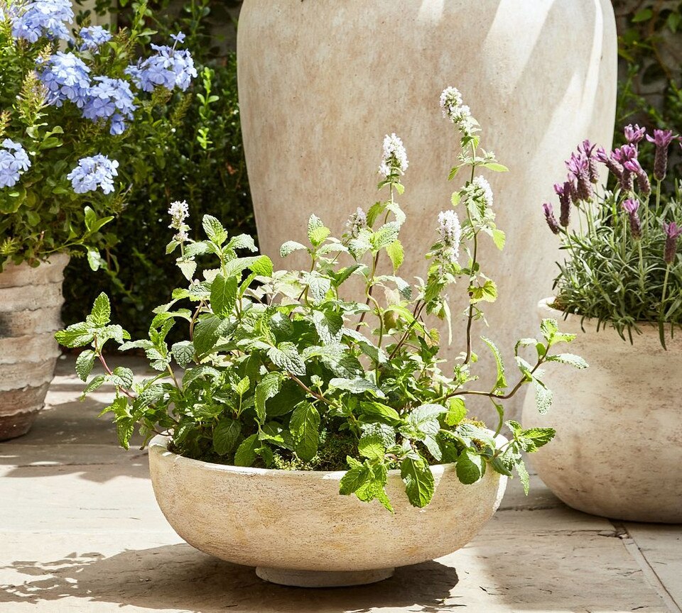 Artisan Handpainted Terracotta Planters