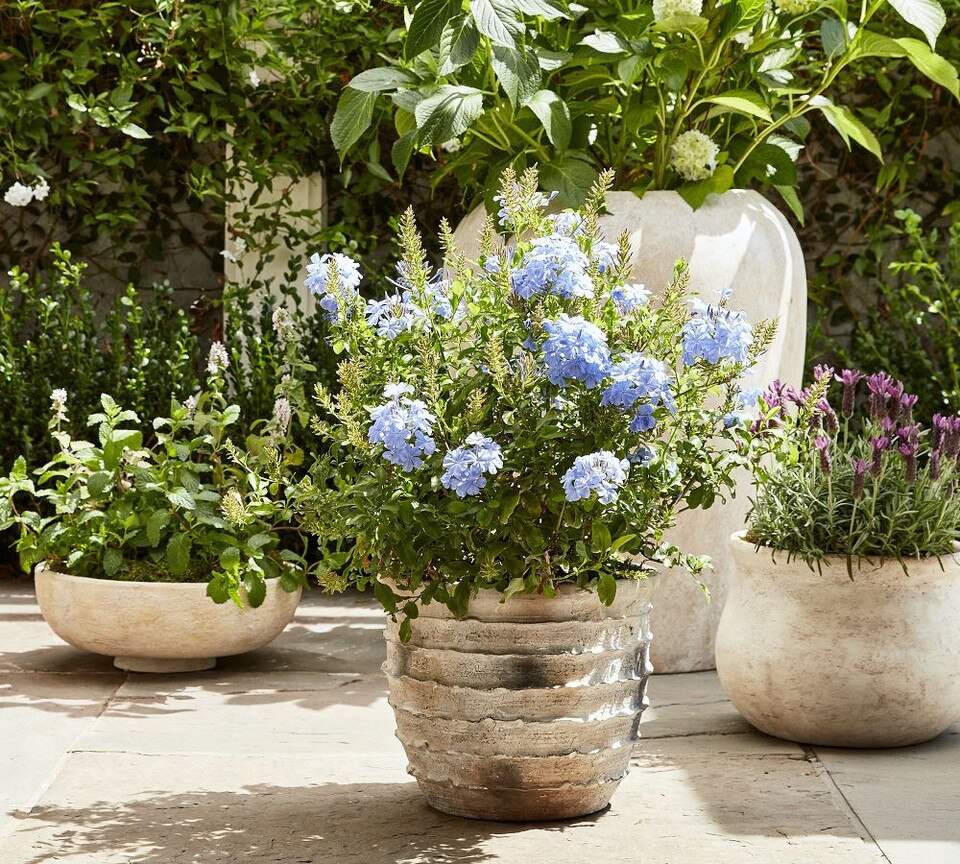 Artisan Handpainted Terracotta Planters