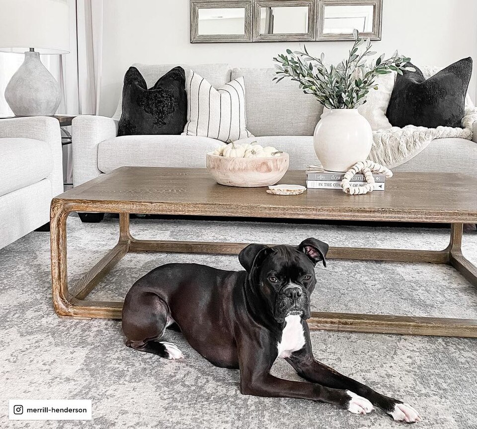 Barret Printed Wool Rug