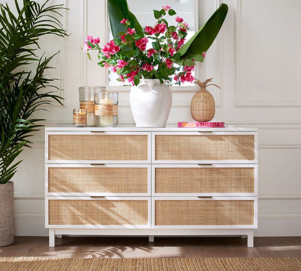 Bougainvillea Bundle