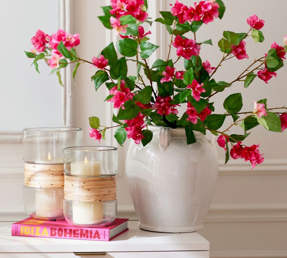 Bougainvillea Bundle