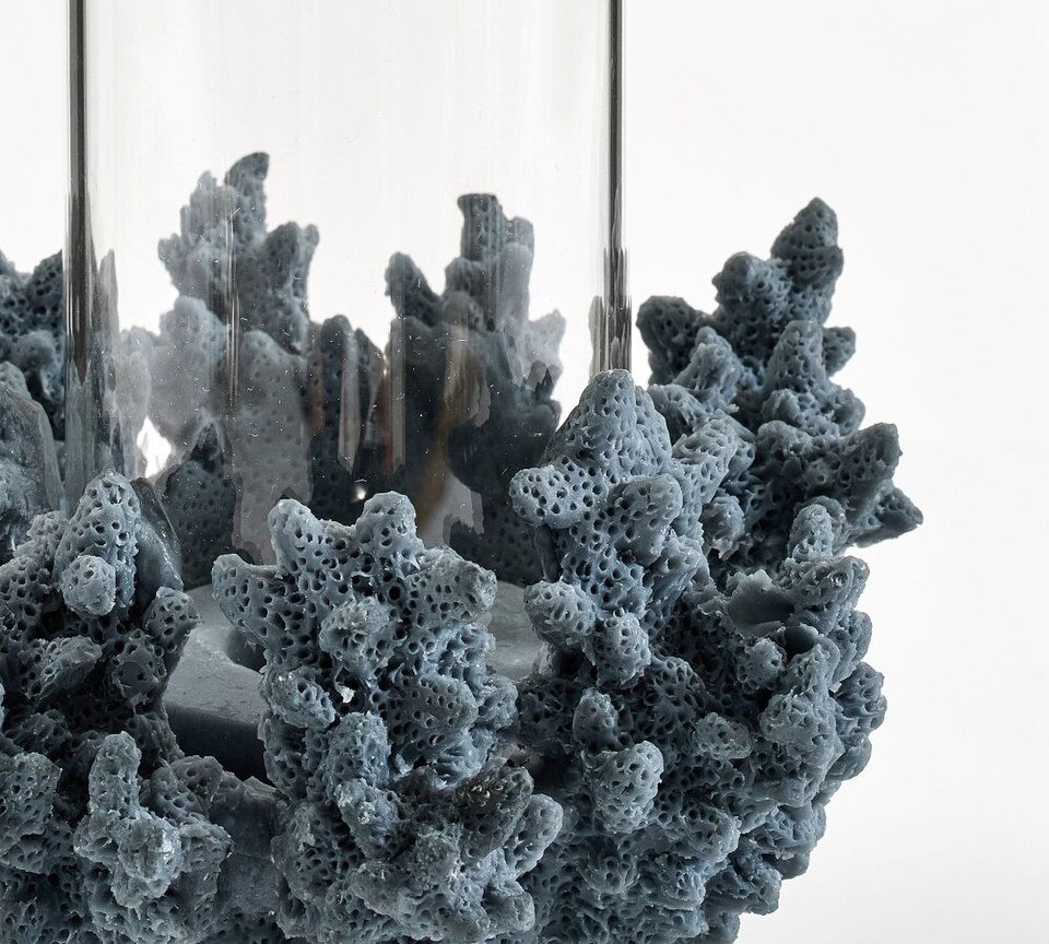 Coral Candle Holders