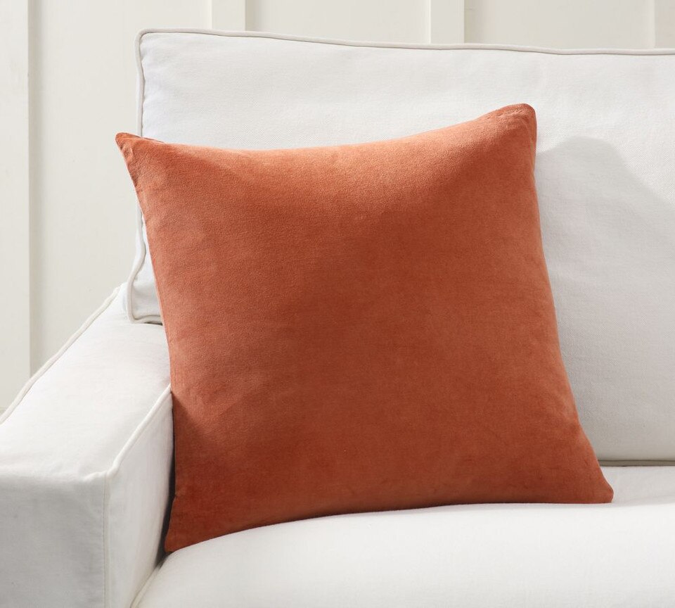 Everywhere Velvet Cushion