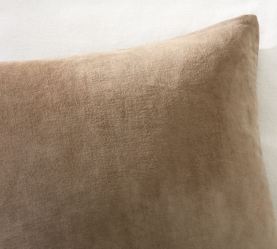 Everywhere Velvet Cushion
