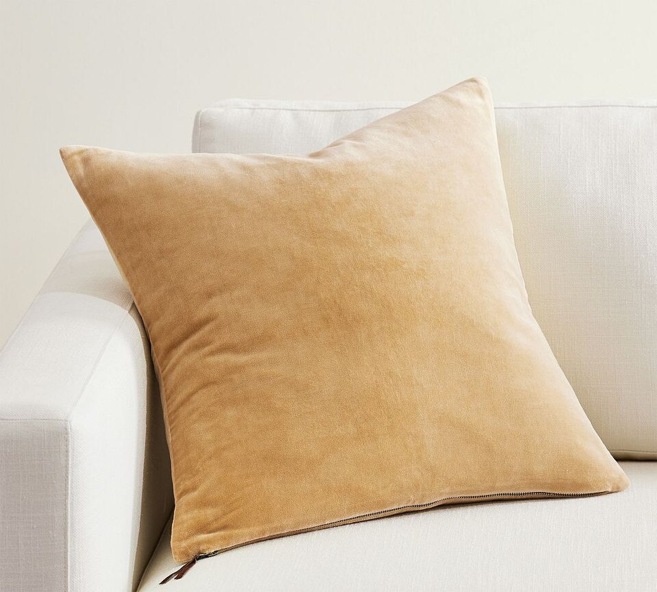 Everywhere Velvet Cushion