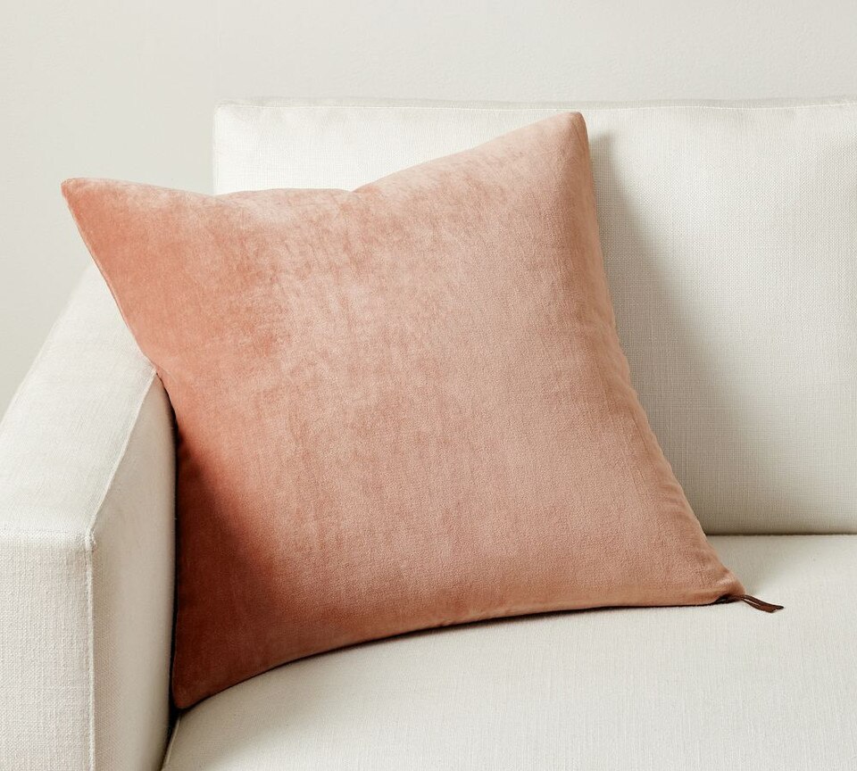 Everywhere Velvet Cushion