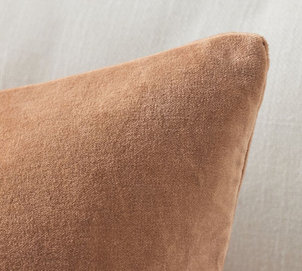 Everywhere Velvet Cushion