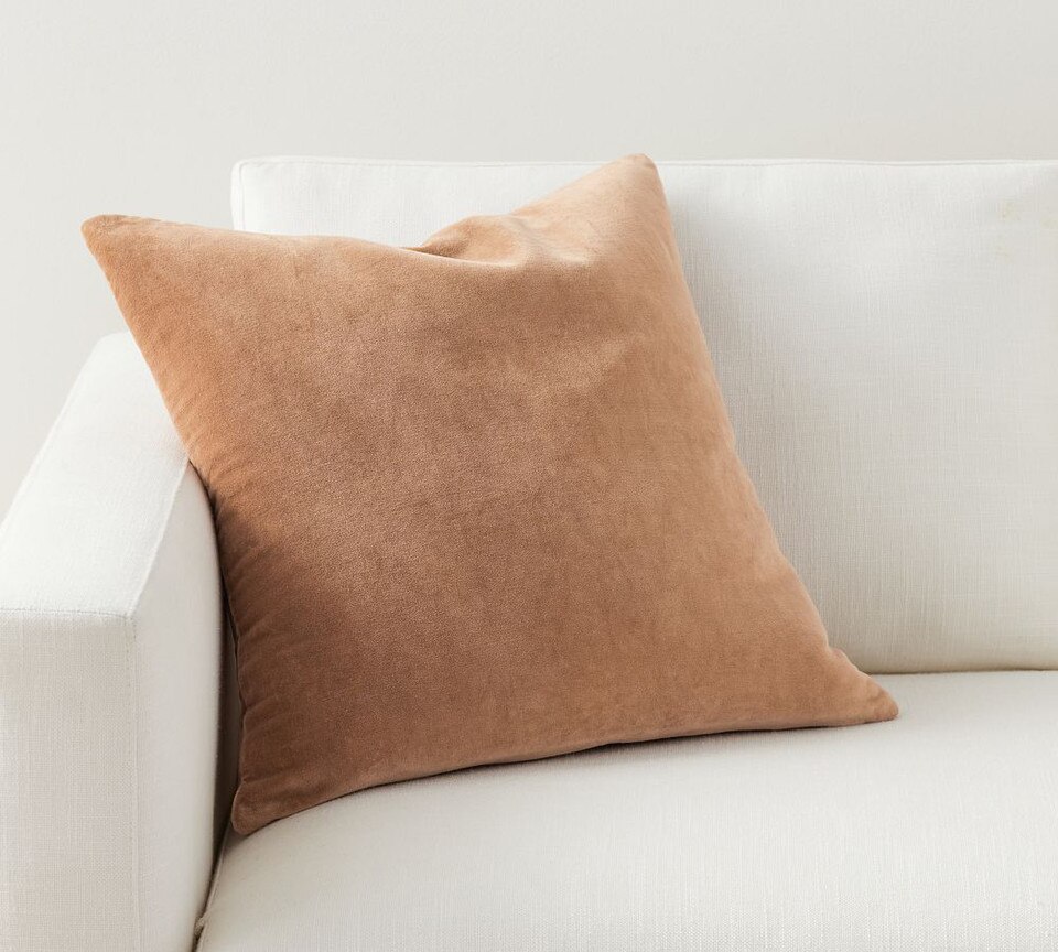 Everywhere Velvet Cushion