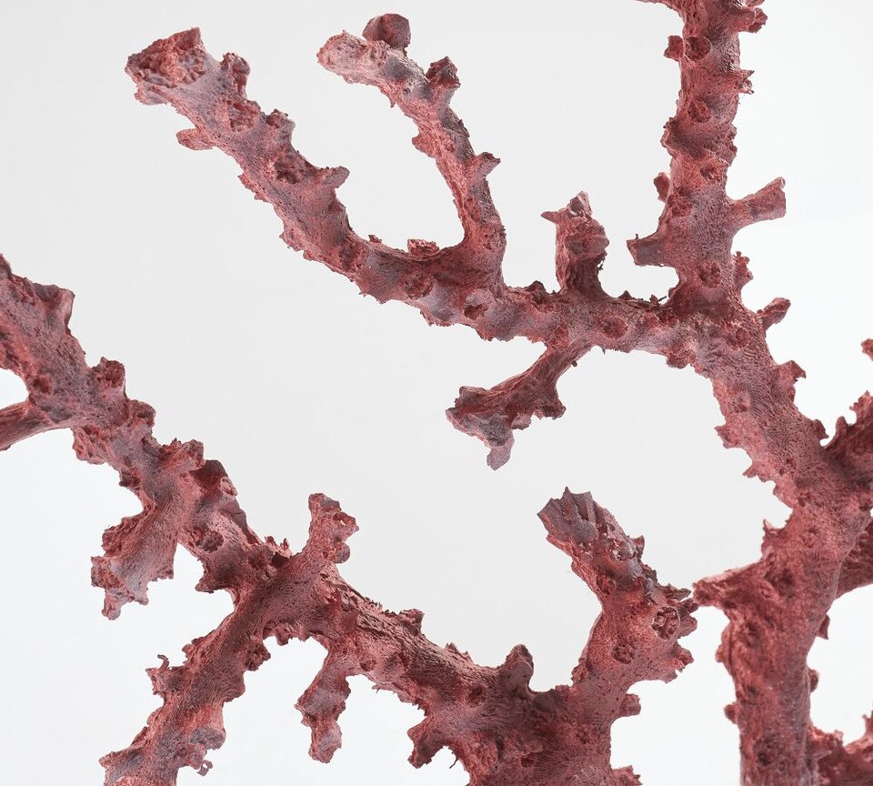 Faux Coral Decorative Objects