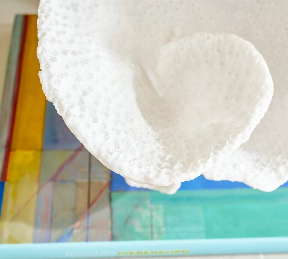 Faux Coral Decorative Objects