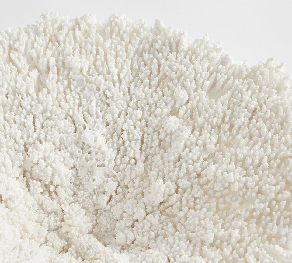 Faux Coral Decorative Objects