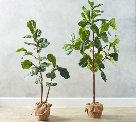 Faux Fiddle Leaf Fig Trees