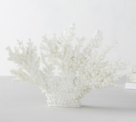 White Spike Coral Pottery Barn Australia