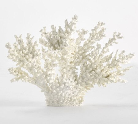 White Spike Coral Pottery Barn Australia