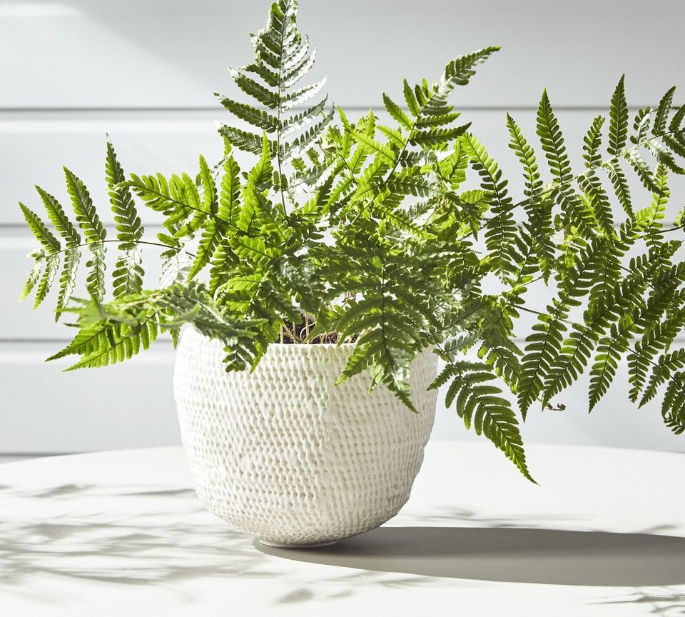 Frasier Handcrafted Planter