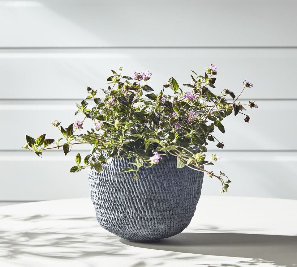 Frasier Handcrafted Planter