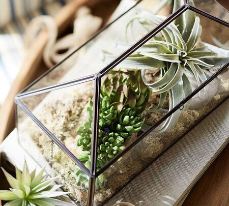 Glass Terrarium Pottery Barn Australia