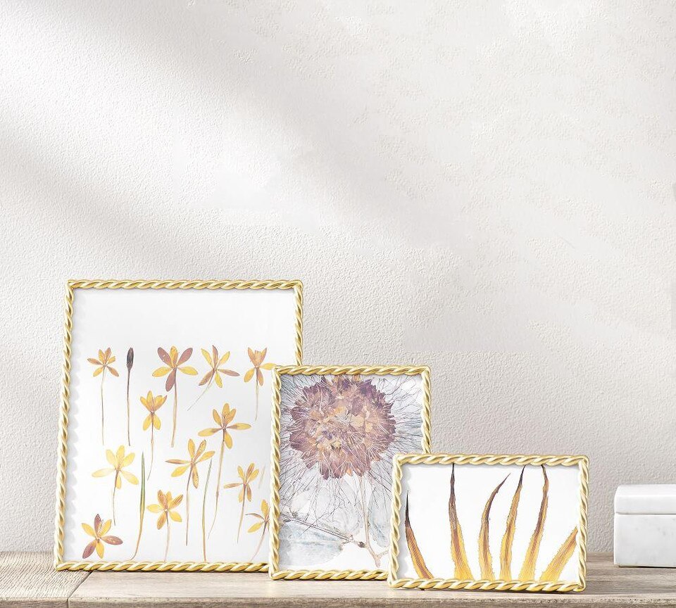 Gold Rope Frames