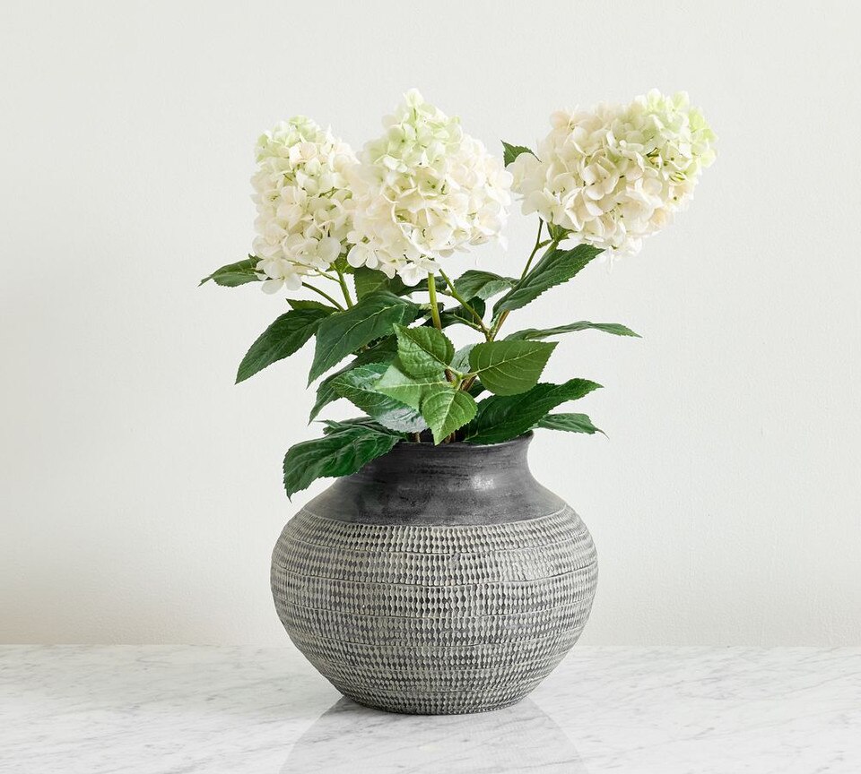 Potted Cone Hydrangea