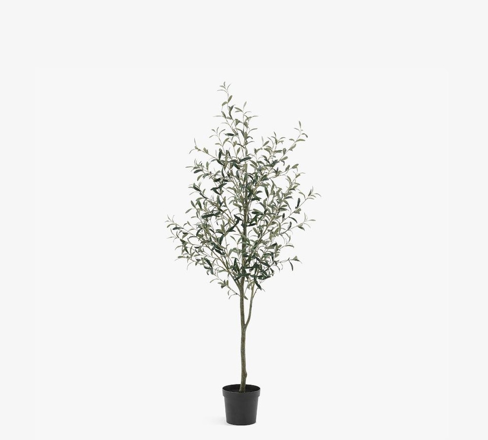 Faux Potted Olive Tree