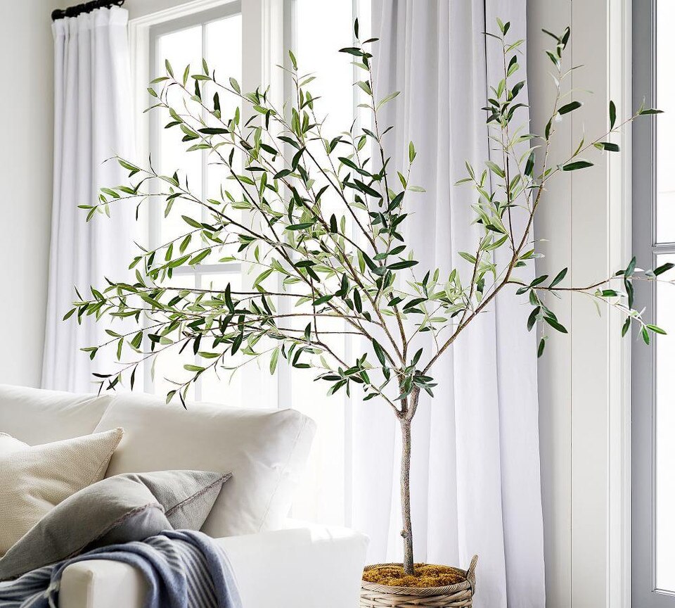 Faux Potted Olive Tree Pottery Barn Australia