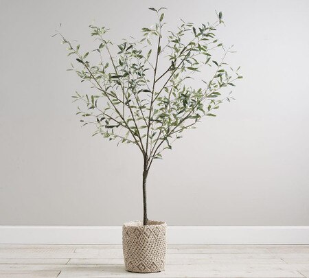 Faux Potted Olive Trees