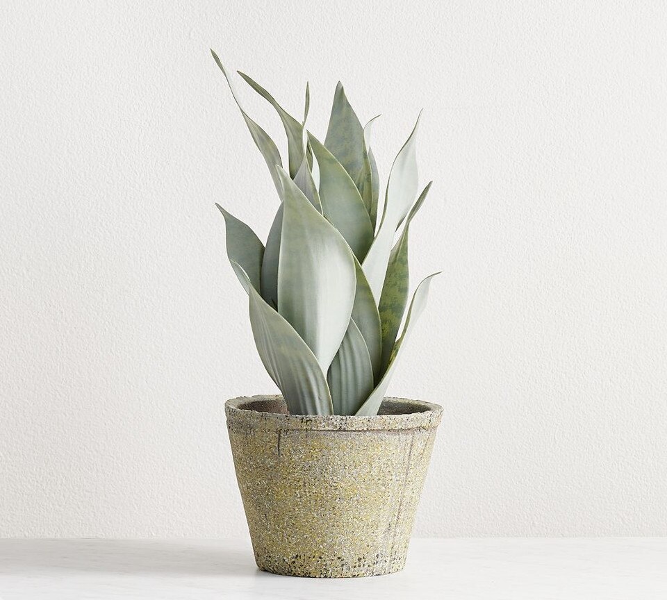 Faux Potted Snake Plant