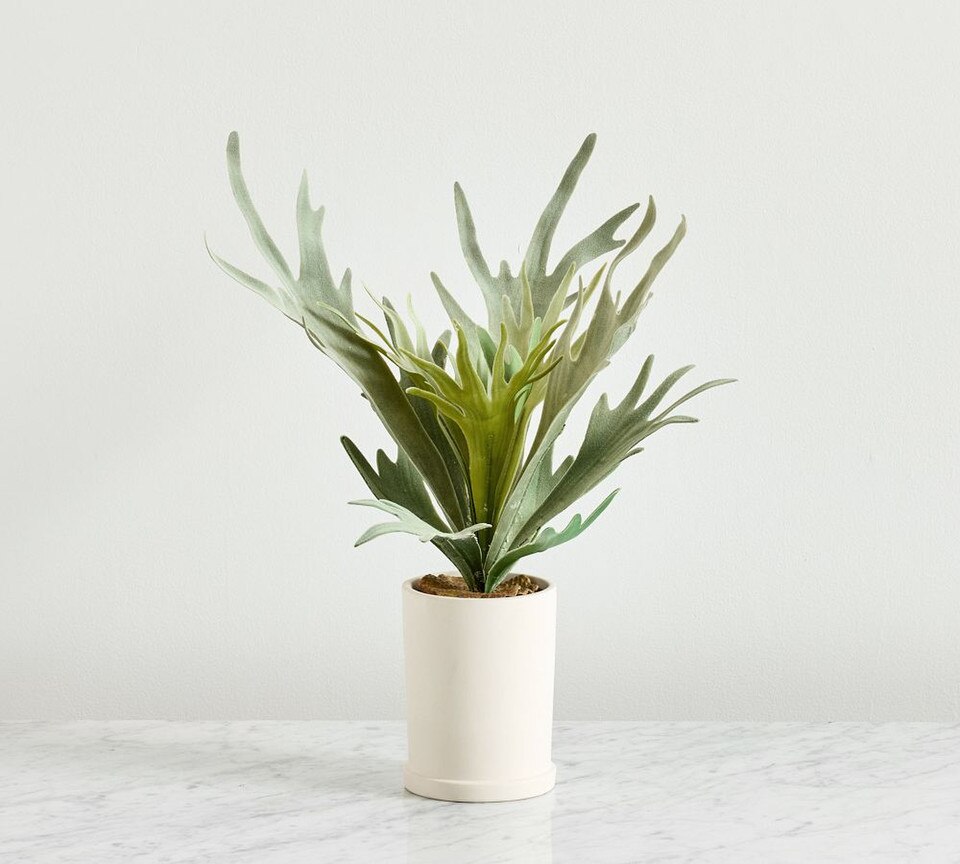 Faux Potted Staghorn Fern