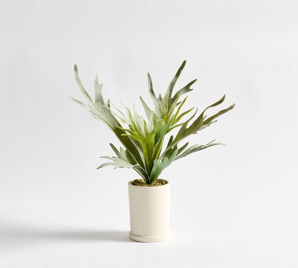 Faux Potted Staghorn Fern