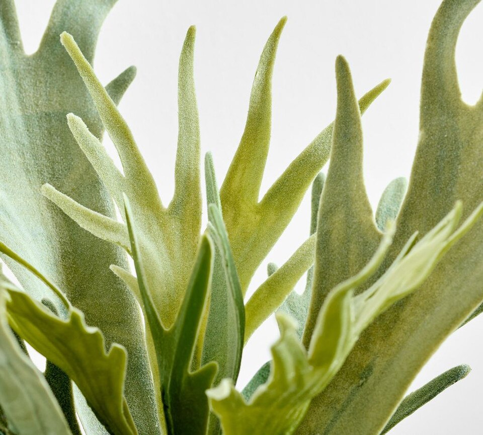 Faux Potted Staghorn Fern