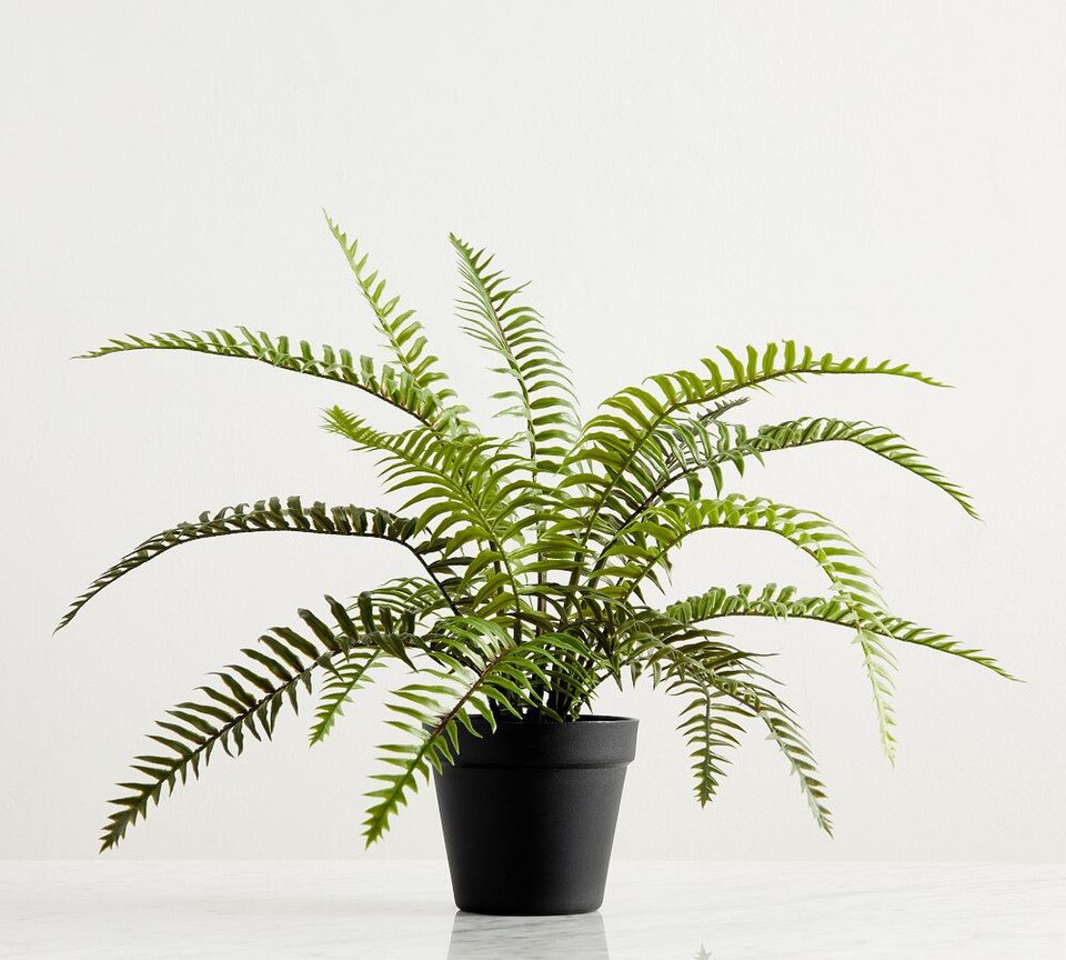 Faux Potted Wild Fern