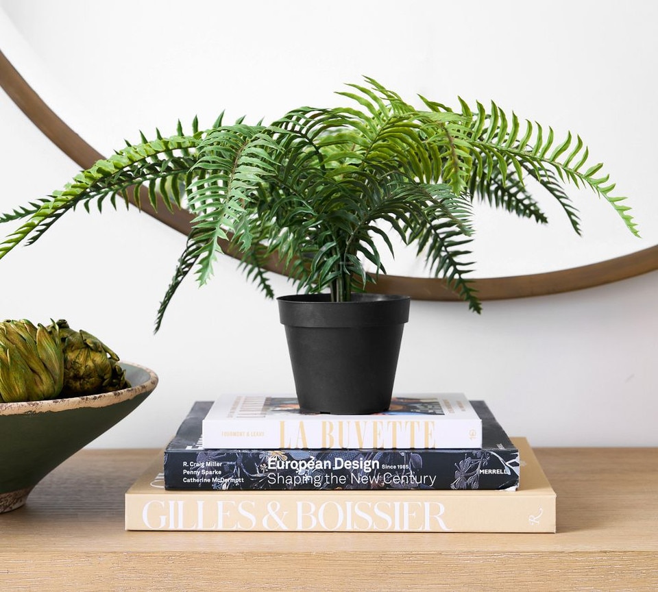 Faux Potted Wild Fern