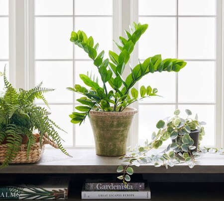 metal planter indoor ESQ Living Arlo Indoor Metal Planter with Stand