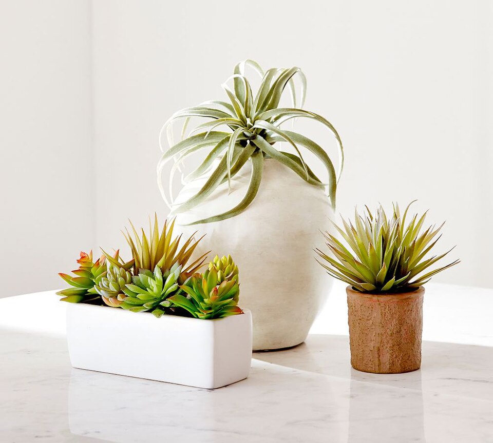 Quinn Ceramic Vase