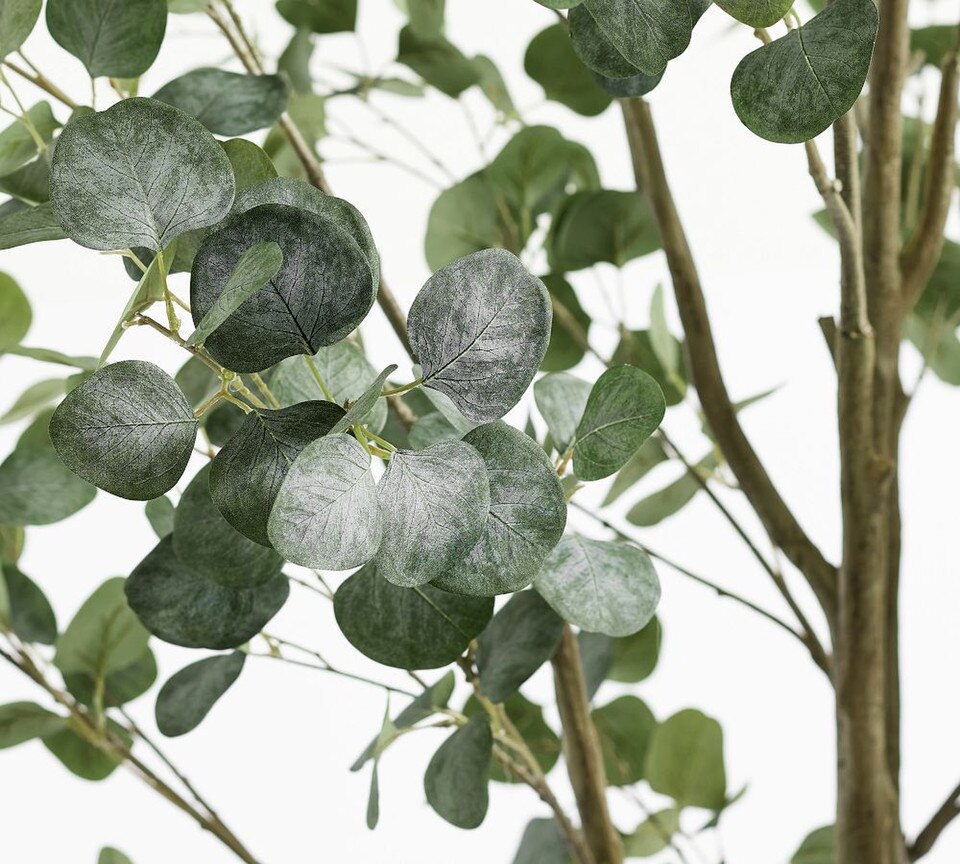 Faux Silver Dollar Eucalyptus Tree