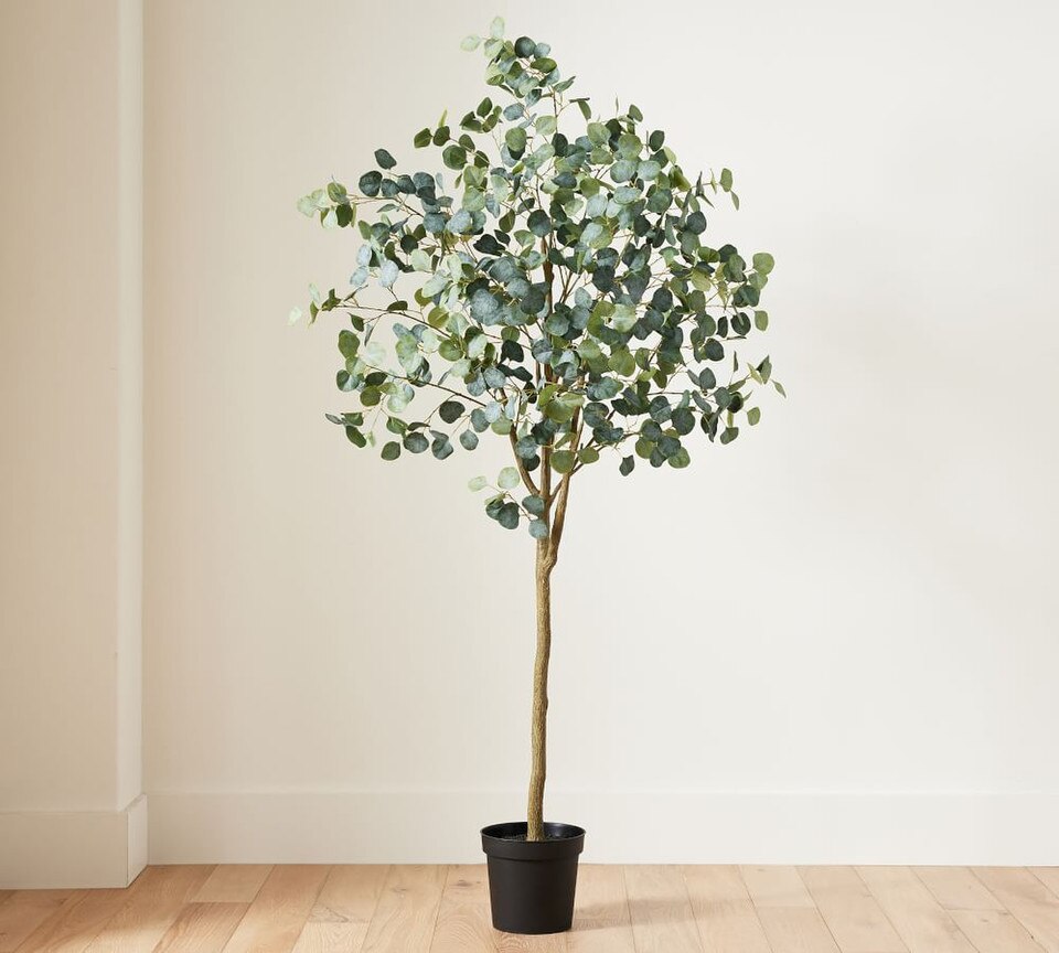 Faux Silver Dollar Eucalyptus Tree