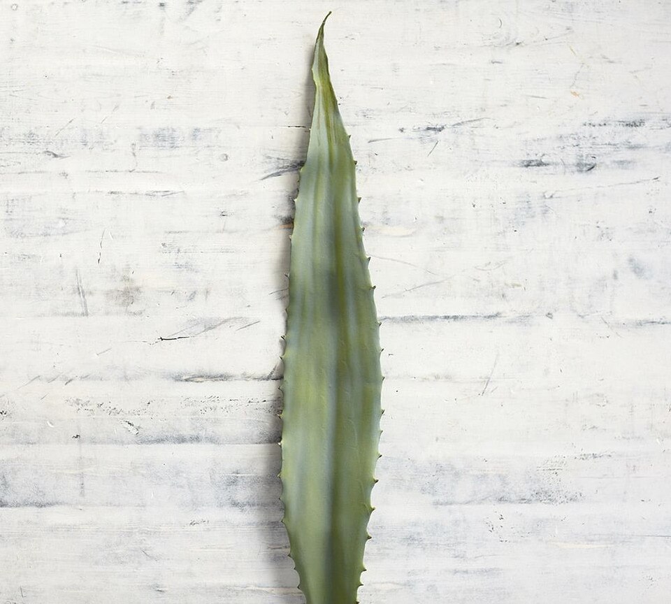 Get the Look: Touches of Greenery