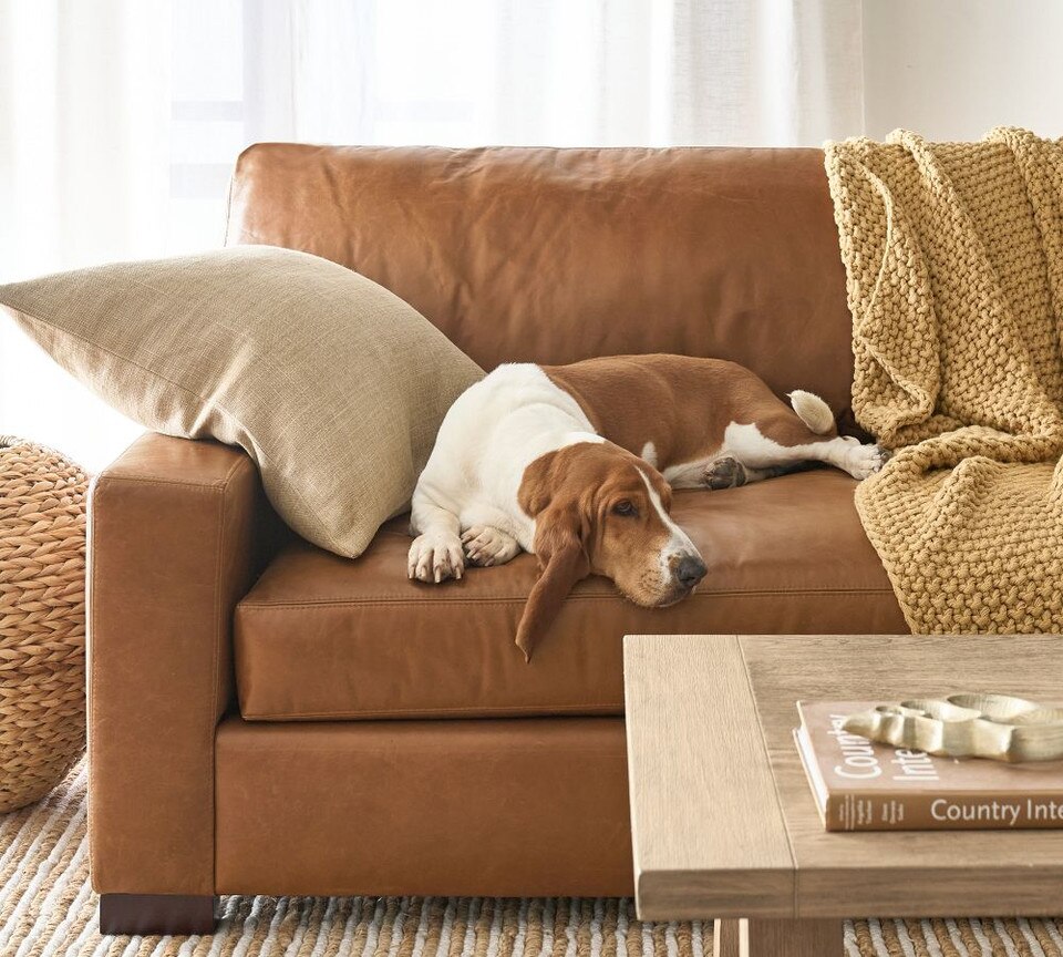 Turner Square Arm Leather 3-Piece L-Sectional (288 cm)